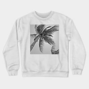 Kimi Palms Crewneck Sweatshirt